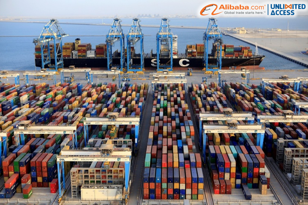Thuật ngữ CY và CFS khác nhau như thế nào?