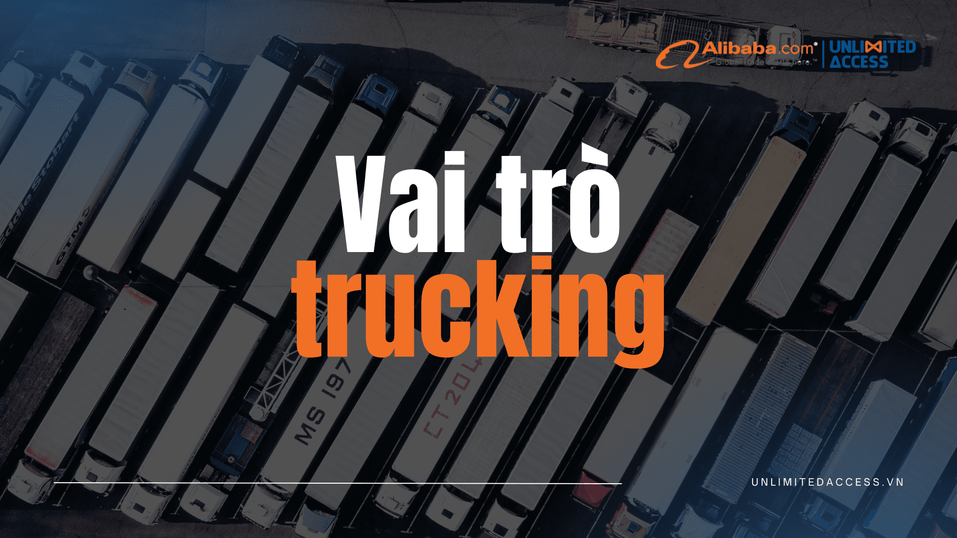 vai trò của trucking