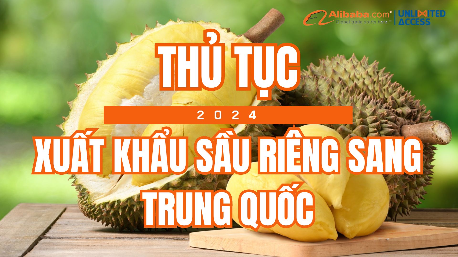 Thủ tục xuất khẩu sầu riêng sang Trung Quốc