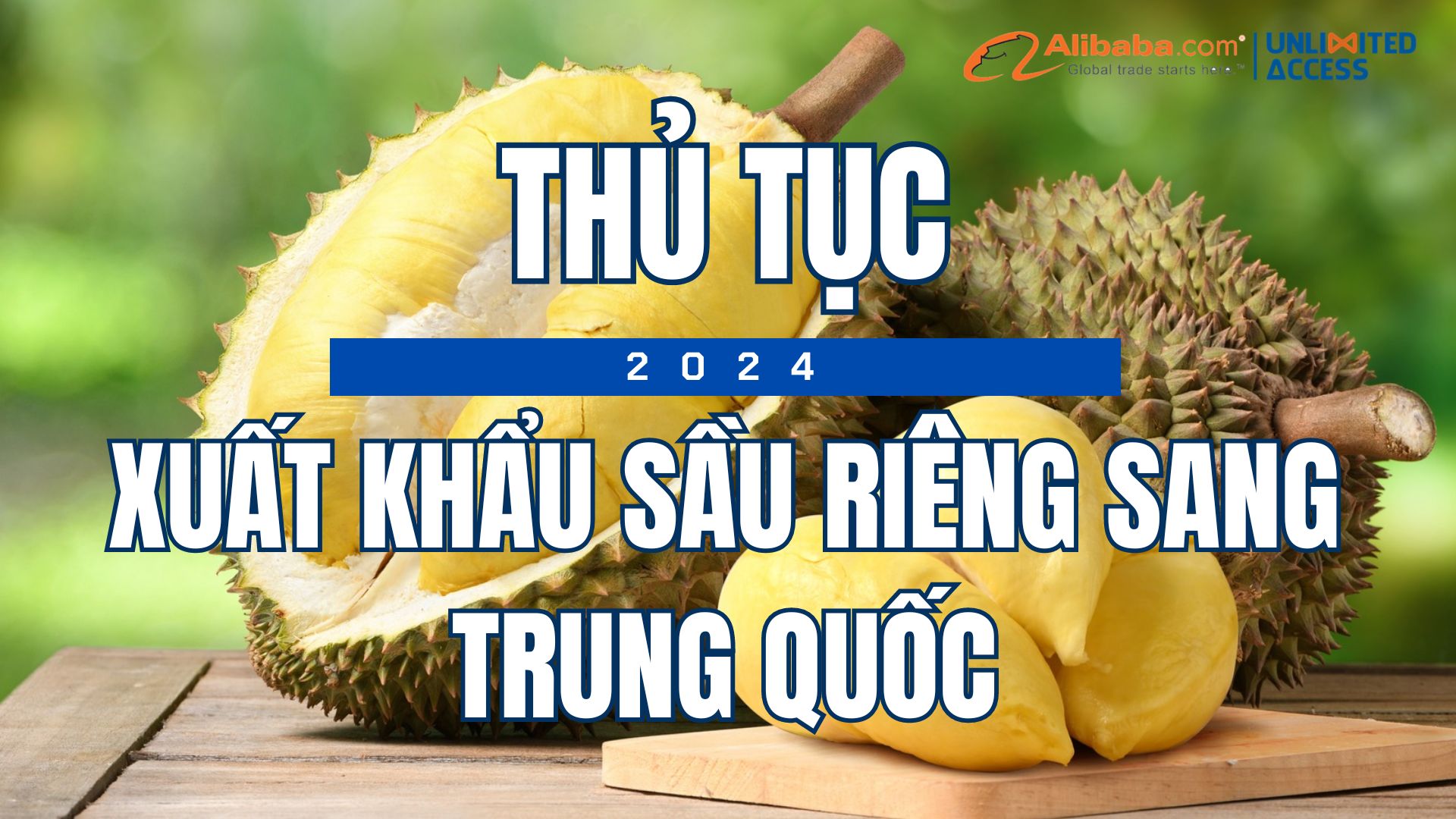 XUẤT KHẨU SẦU RIÊNG SANG TRUNG QUỐC