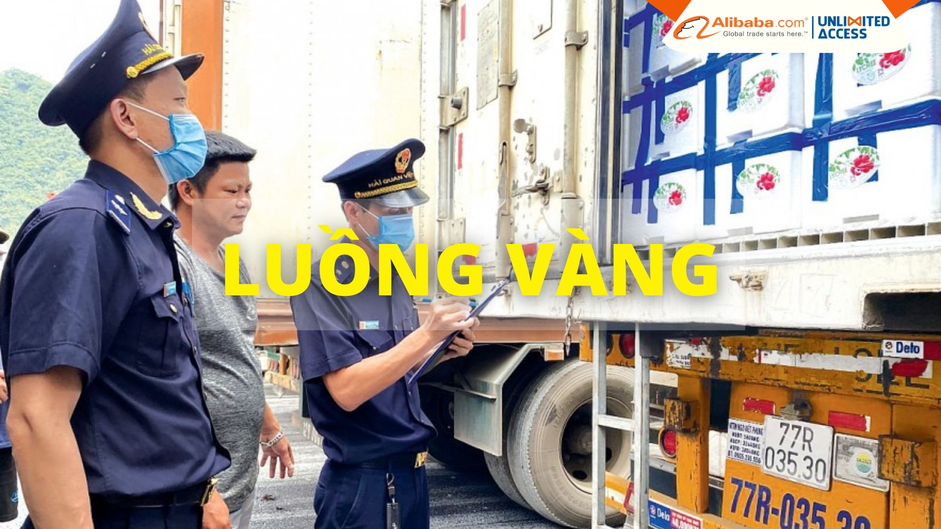 Luồng vàng