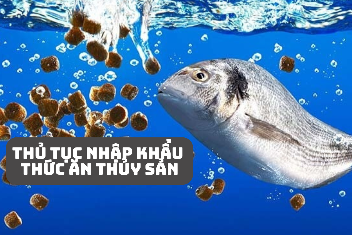 thủ tục nhập khẩu