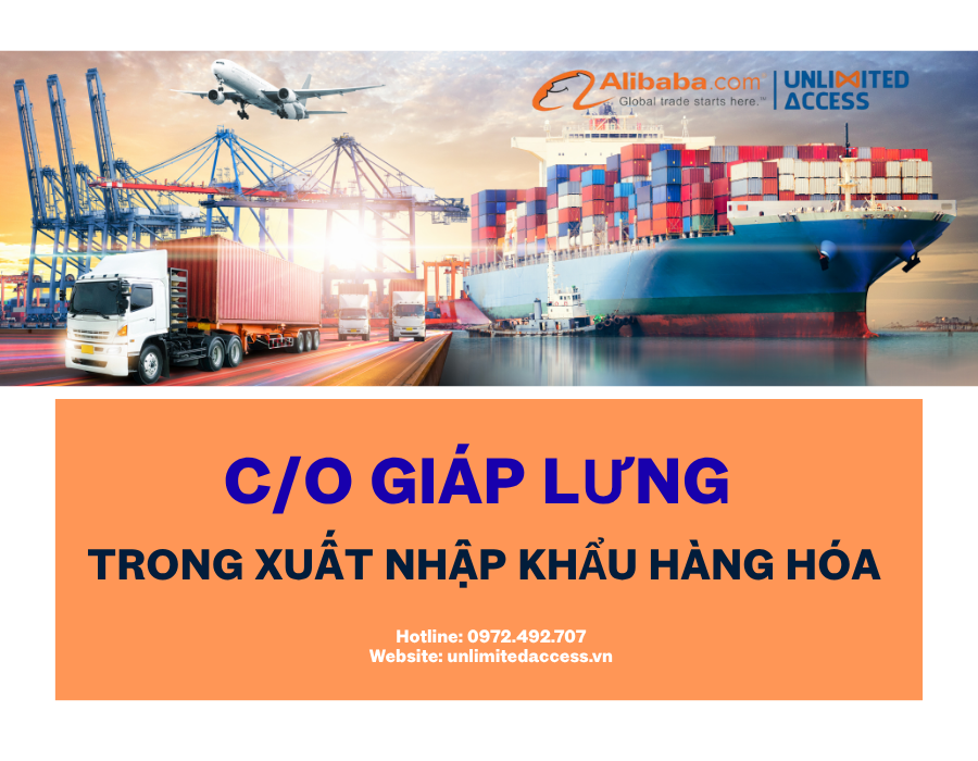 C/O giáp lưng trong xuất nhập khẩu hàng hóa