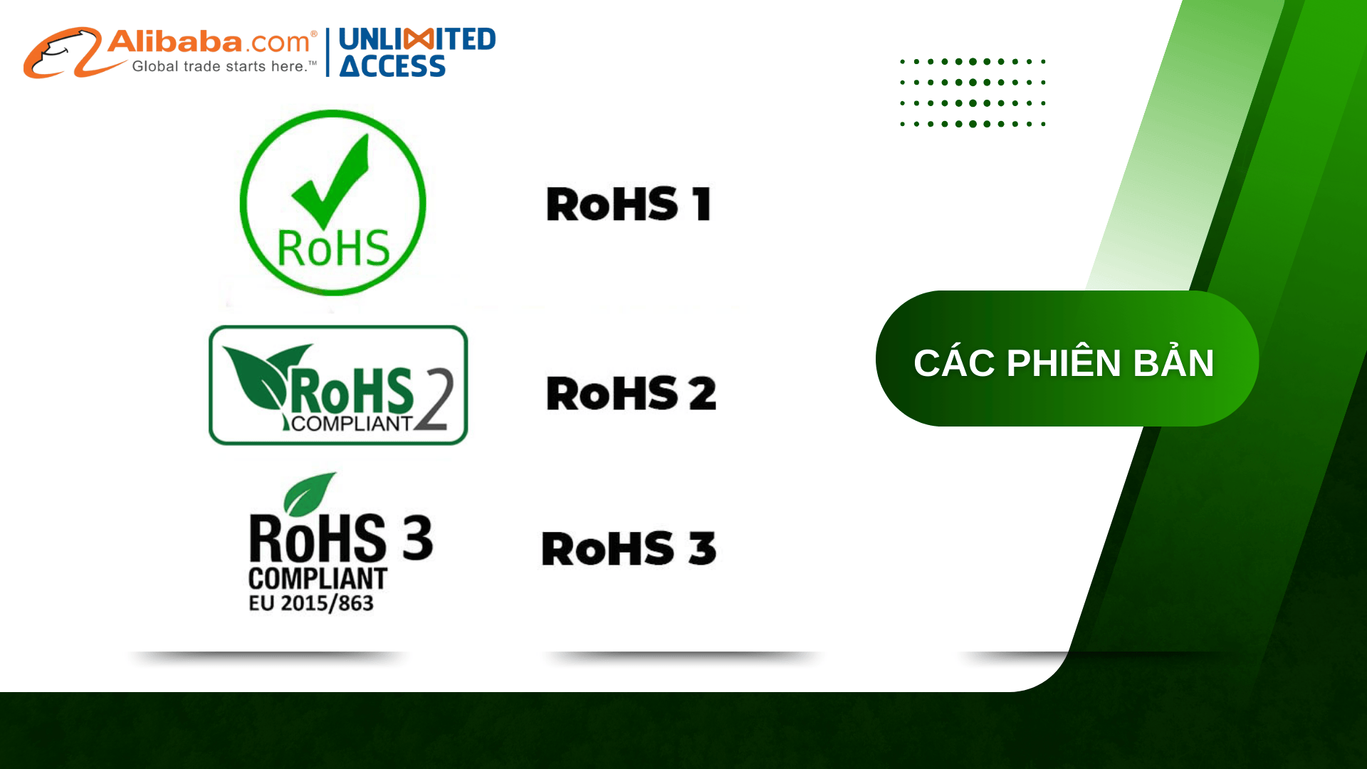 ROHS TRONG XUẤT NHẬP KHẨU 2025