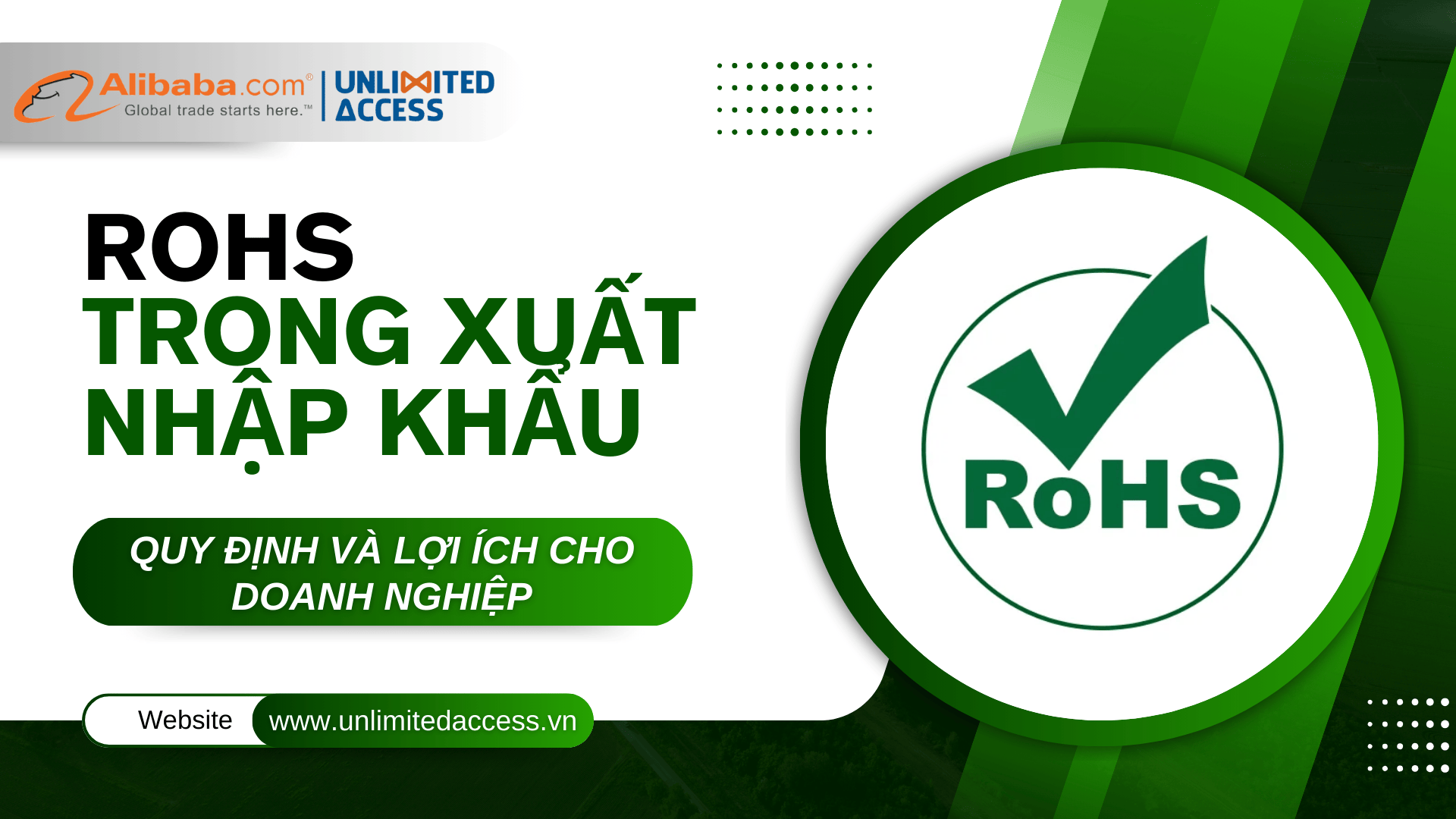 ROHS TRONG XUẤT NHẬP KHẨU 2025