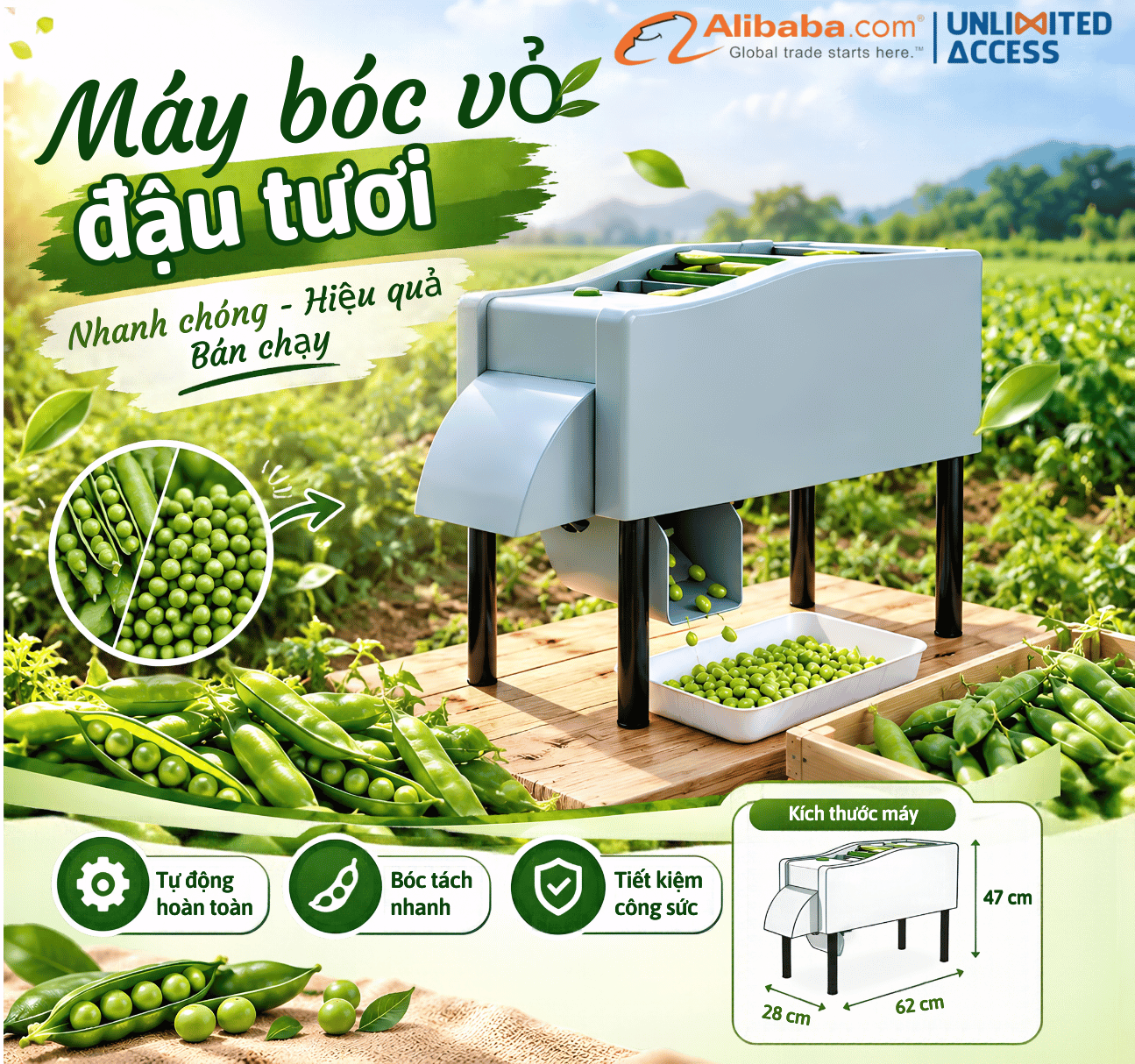 MÁY BÓC VỎ ĐẬU TỰ ĐỘNG